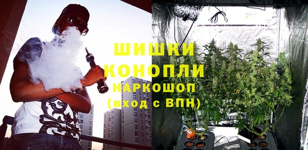 стаф Баксан