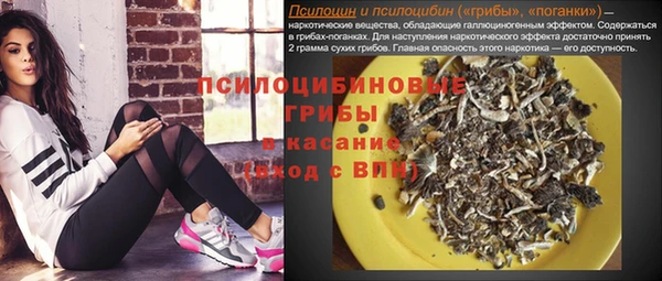сатива Армянск