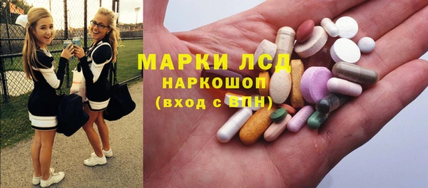 сатива Армянск
