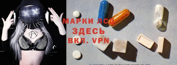 сатива Армянск